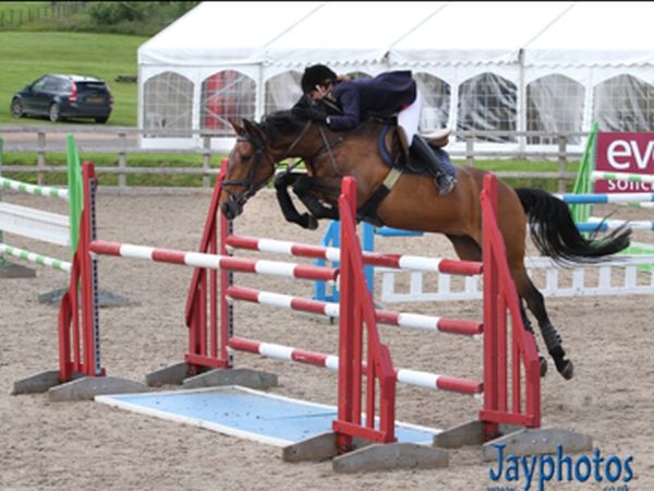 Bicton