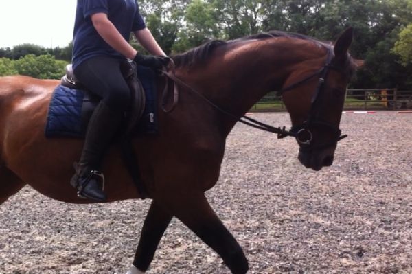 Interdressage