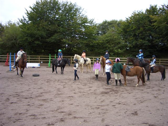 School Horses and their Activities